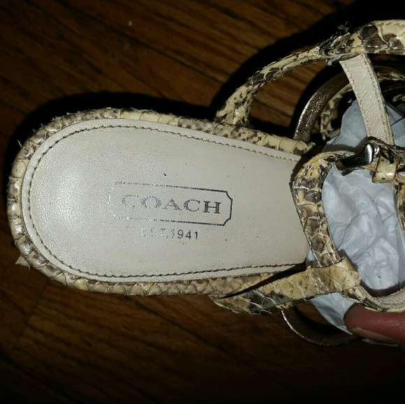 Coach Snakeskin size 9.5 Heels - Picture 4 of 7